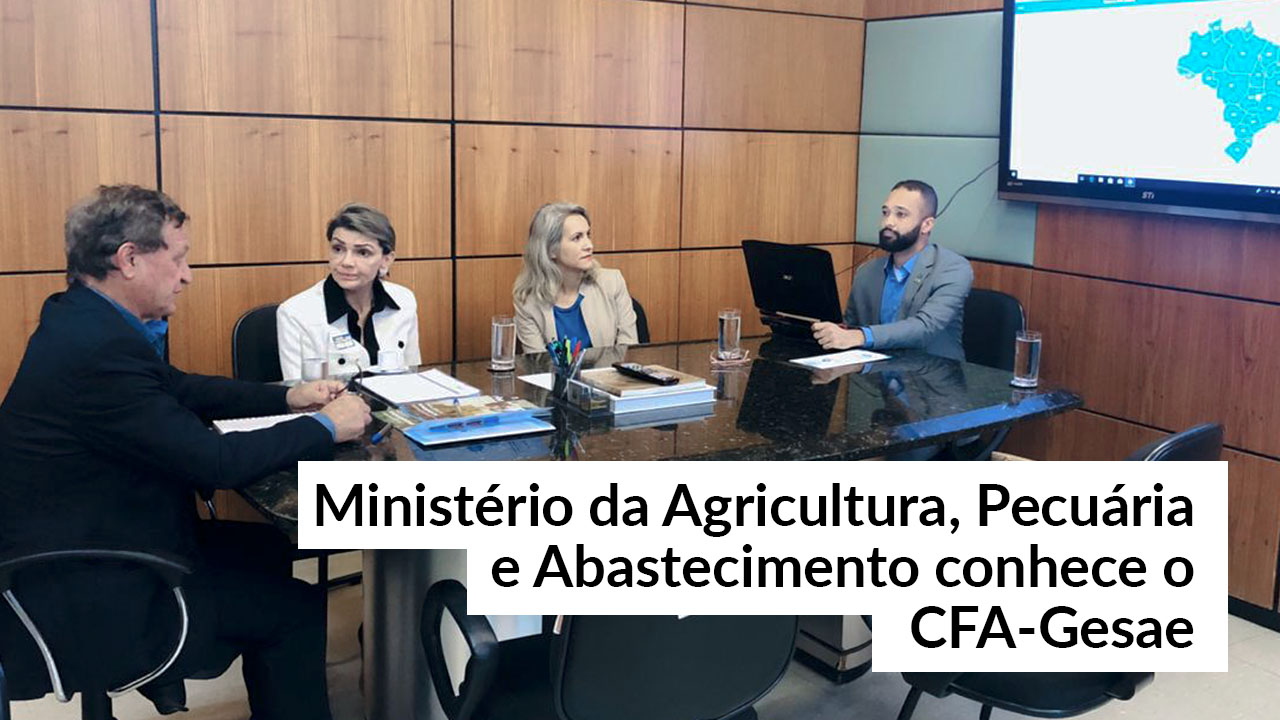 Sistema de Governança do CFA é apresentado no Minstério da Agricultura